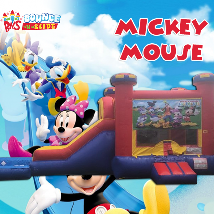 Mickey Mouse Clubhouse Medieval Wet Combo