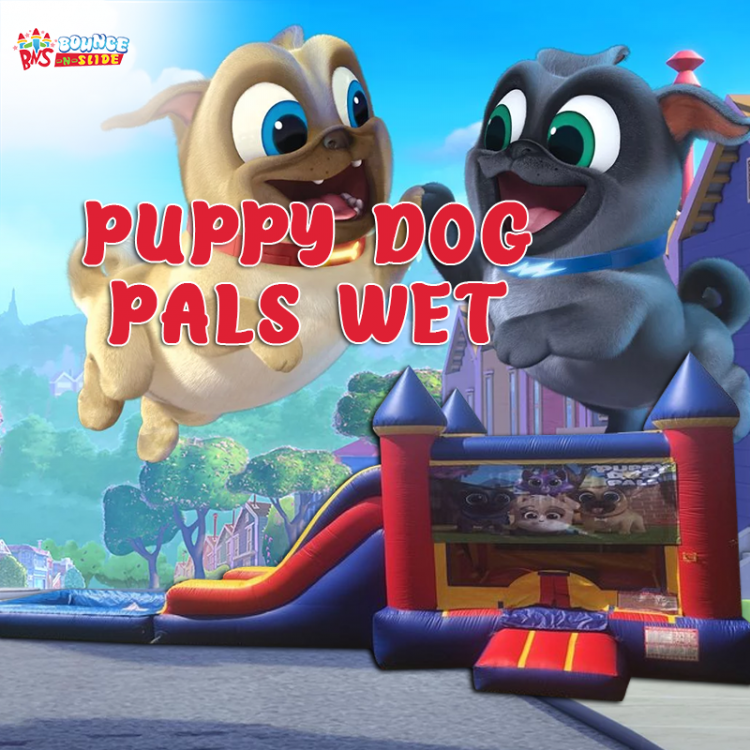 Puppy Dog Pals King Castle Wet Combo