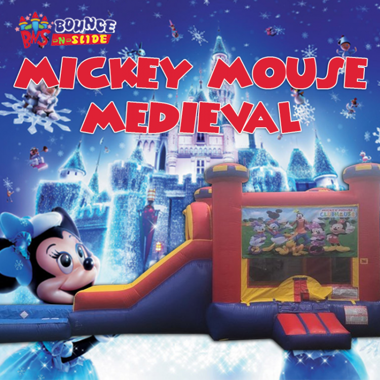 Mickey Mouse Clubhouse Medieval Dry Combo
