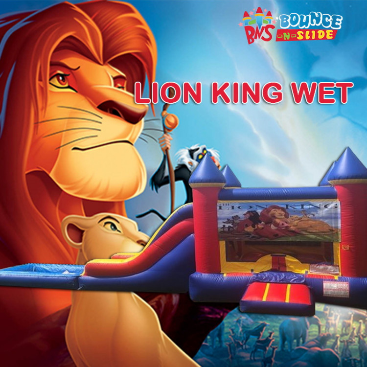 Lion King King Castle Wet Combo