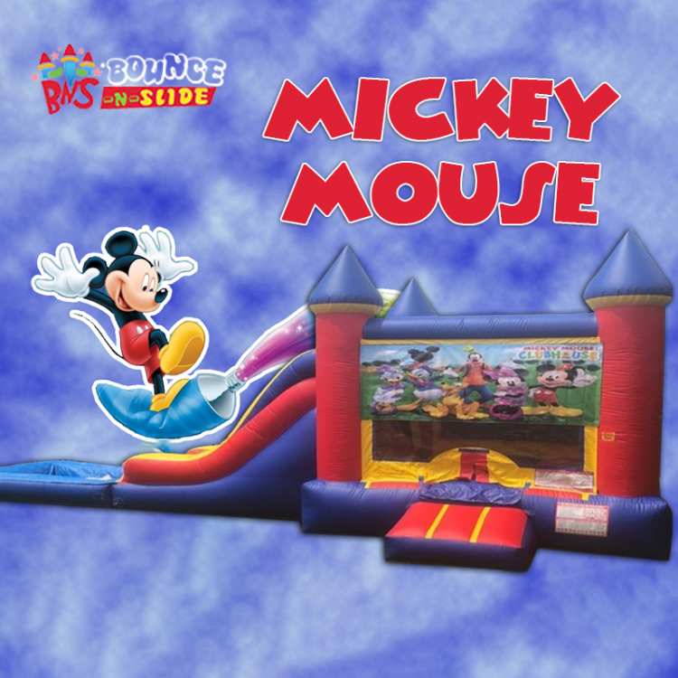 Mickey Mouse Clubhouse King Castle Dry Combo