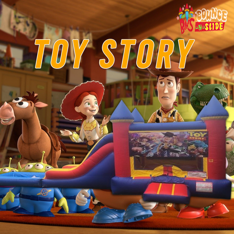 Toy Story King Castle Dry Combo