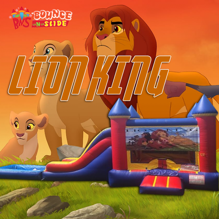 Lion King King Castle Dry Combo
