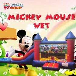 Mickey Mouse Clubhouse King Castle Wet Combo