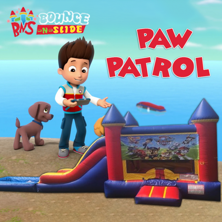 Paw Patrol King Castle Dry Combo