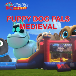 Puppy Dog Pals Medieval Dry Combo