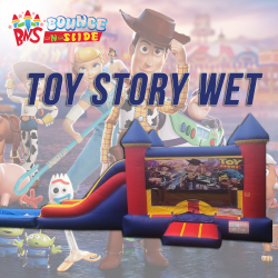 Toy Story King Castle Wet Combo